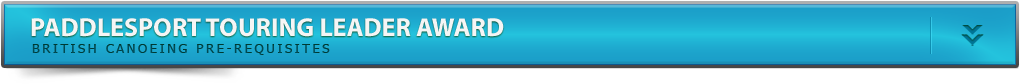 Touring Leader Award